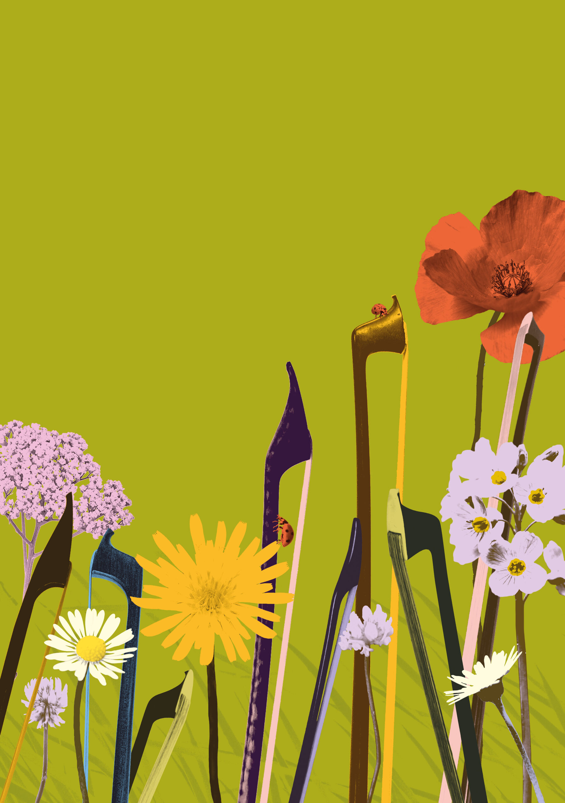 Illustration showing string instrument bows growing up amongst wildflowers on a green background.